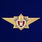 Знак Классный специалист МЧС (Мастер)