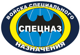 Автомобильная Наклейка Войска специального назначения