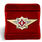 Знак в бархатистом футляре ФСИН Специалист 1 класса 2