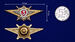 Знак Росгвардии Классная квалификация Мастер (специалист 3-го класса) 3