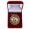 Знак Лучшему ударнику муляж в бархатистом футляре 1