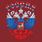 Майка Россия Триколор (Бордо) 4