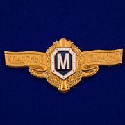 Знак классности рядового состава ВС России Мастер