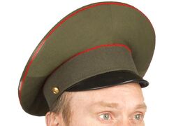 Фуражка ВВ