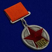 Копия медали 100 лет Рабоче-крестьянской Красной Армии
