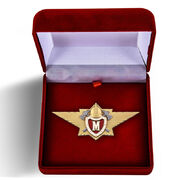 Знак в бархатистом футляре Классный специалист МЧС (Мастер)