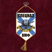 Вымпел Спецназ ВМФ на присоске