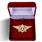Знак в бархатистом футляре Классный специалист МЧС (Мастер) 1