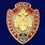 Знак Ветеран МЧС  коллекционные 50 экземпляров