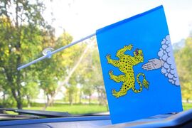 Флажок в машину с присоской Пскова