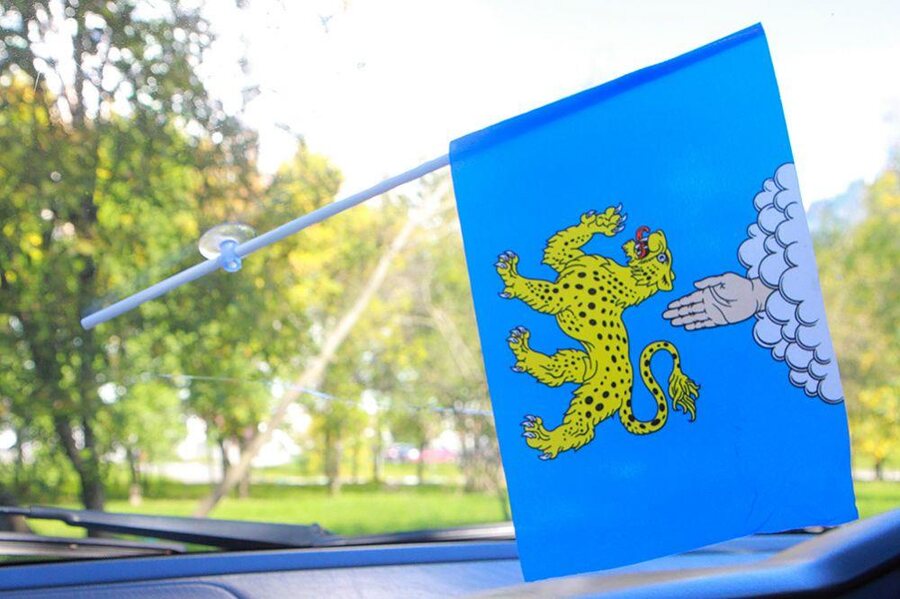 Флажок в машину с присоской Пскова