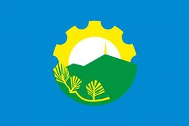 Флаг Арсеньева Приморского края