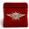 Знак в бархатистом футляре Росгвардии Классная квалификация Мастер (специалист 3-го класса) 2