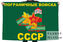 Флаг Пограничных войск с символикой СССР