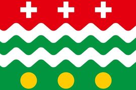 Флаг Молоковского района Тверской области