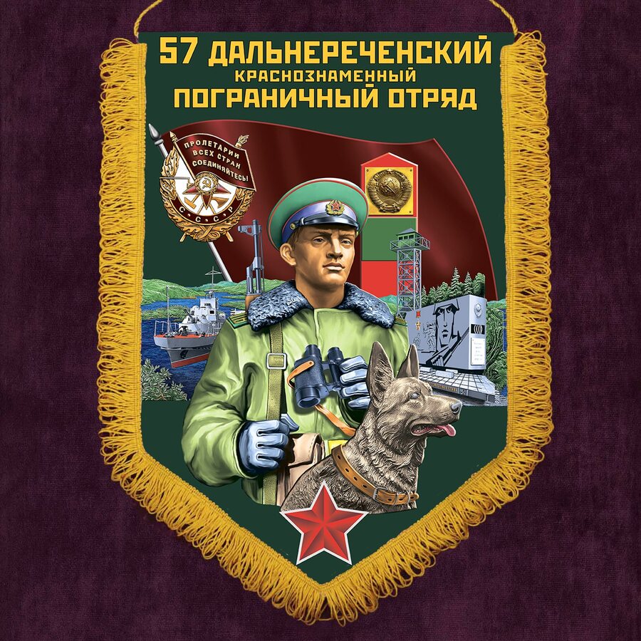 Вымпел Дальнереченского ПогО