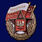 Нагрудный знак СГВ муляж 1