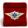 Знак в бархатистом футляре ФСИН Специалист 2 класса 2
