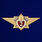 Знак Классный специалист МЧС 2-го класса