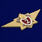 Знак Классный специалист МЧС 2-го класса 2