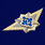 Знак в бархатистом футляре ФСИН Специалист 2 класса 6