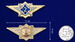 Знак в бархатистом футляре ФСИН Специалист 2 класса 7