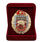 Знак в бархатистом футляре 115 ОБрСпН 2