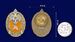 Знак Лучший инспектор ГПН МЧС России 4