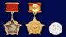 Нагрудный знак Воину-интернационалисту (Муляж) 5