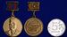 Знак Главный маршал артиллерии Неделин 6