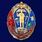 Знак 100 лет РГВВДКУ им. В. Ф. Маргелова 2