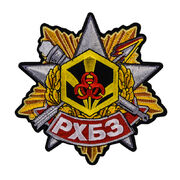 Термонашивка РХБЗ (9,0х9,0)