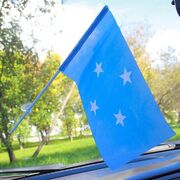 Флажок в машину с присоской Микронезии