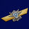 Знак в бархатистом футляре МО РФ Классная квалификация 7