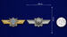 Знак в бархатистом футляре МО РФ Классная квалификация 8