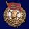 Знак Лучшему ударнику муляж 1