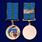 Нагрудный знак Жена десантника в наградной коробке с удостоверением в комплекте 6