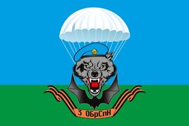 Флаг 3-й Отдельной бригады Специального назначения