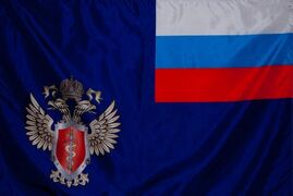 Флаг ФСКН России