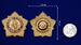 Знак За службу в Германии 2
