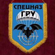 Вымпел принт Спецназ ГРУ