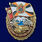 Знак За службу на Северном Кавказе