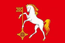 Флаг Кохмы Ивановской области 90x135 большой
