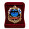 Знак в бархатистом футляре 318 ЦМРО ОСНАЗ ВМФ 2
