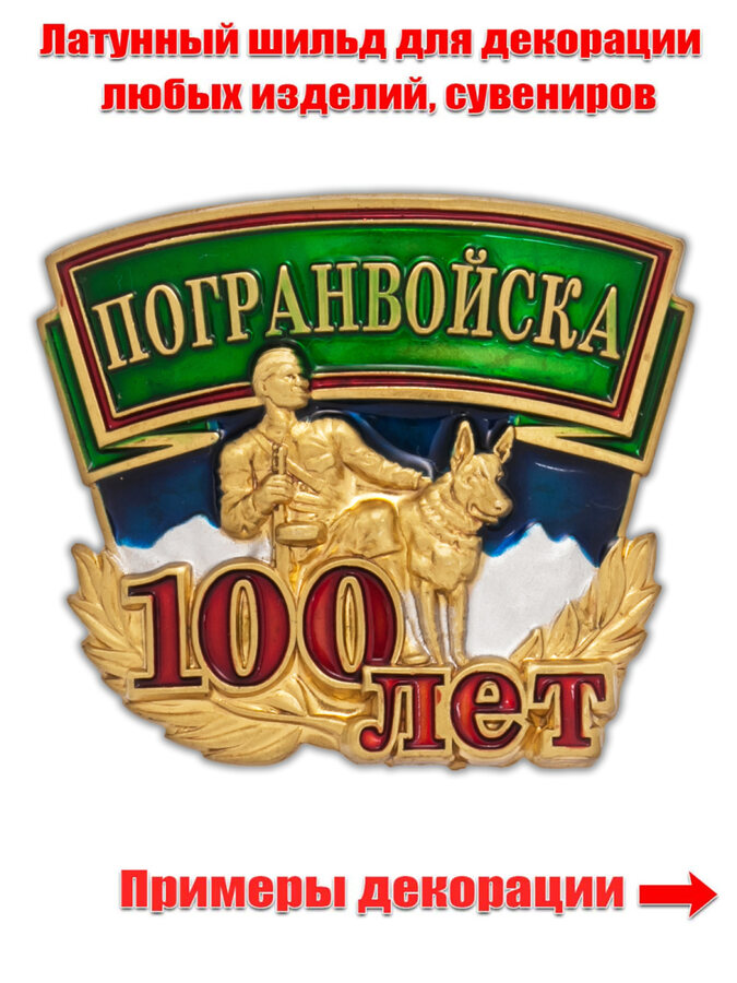 Шильд 100 лет Погранвойска