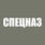 Футболка с трансфером Спецназ (Хаки) 5