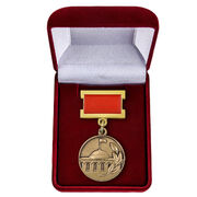 Знак в бархатистом футляре Лауреат премии Совета Министров СССР (Муляж) 