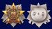 Знак 100 лет Погранвойскам в наградной коробке с удостоверением в комплекте 6