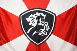 Флаг Северо-кавказского регионального командования 90х135 большой