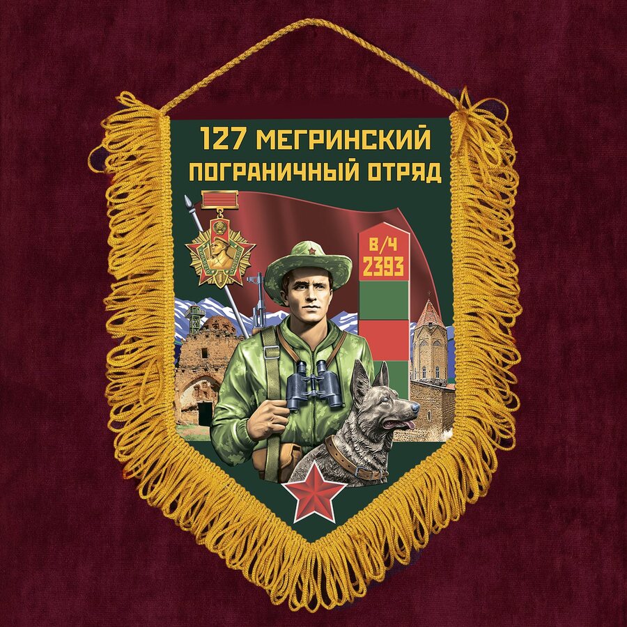 Вымпел 127 Мегринский пограничный отряд